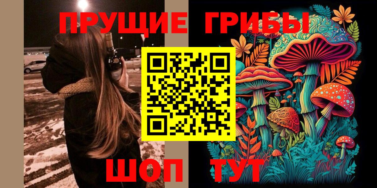 Галлюциногенные грибы Psilocybe  Вход с VPN  купить наркотики сайты  Туймазы 